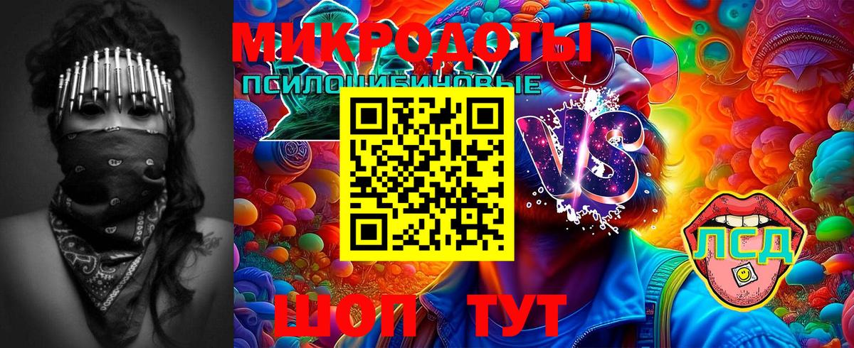 Галлюциногенные грибы Psilocybe  Вход с VPN  Псилоцибиновые грибы Psilocybine cubensis  Воронеж 