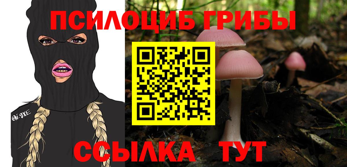 Псилоцибиновые грибы Cubensis Воронеж