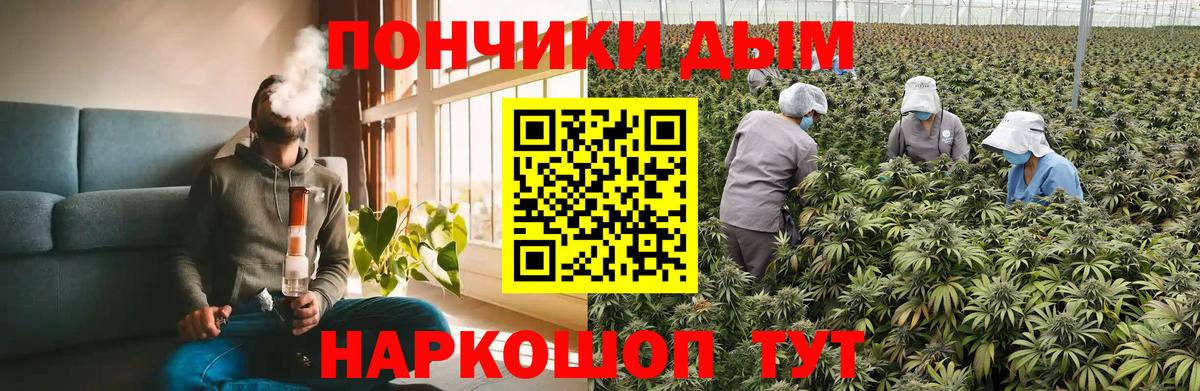 Бошки марихуана VHQ Воронеж